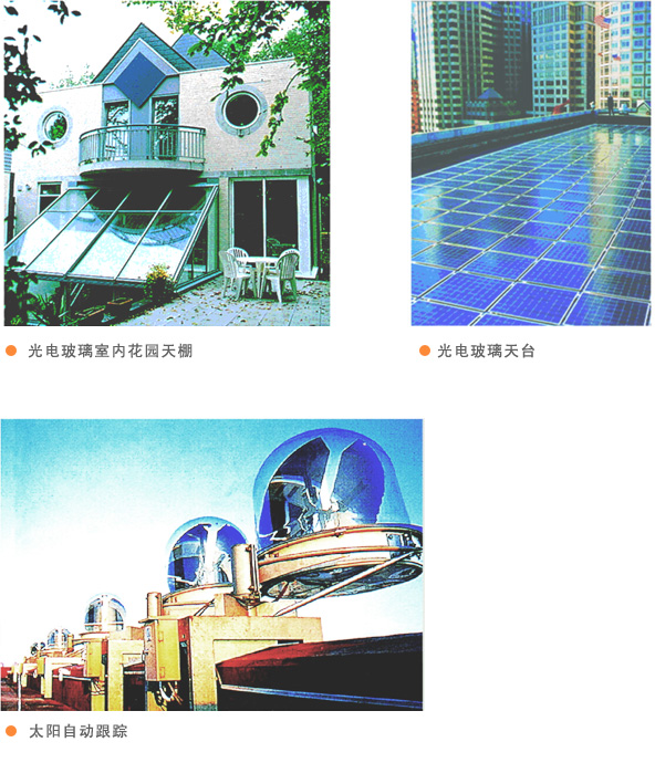 醉红颜论坛与你相伴